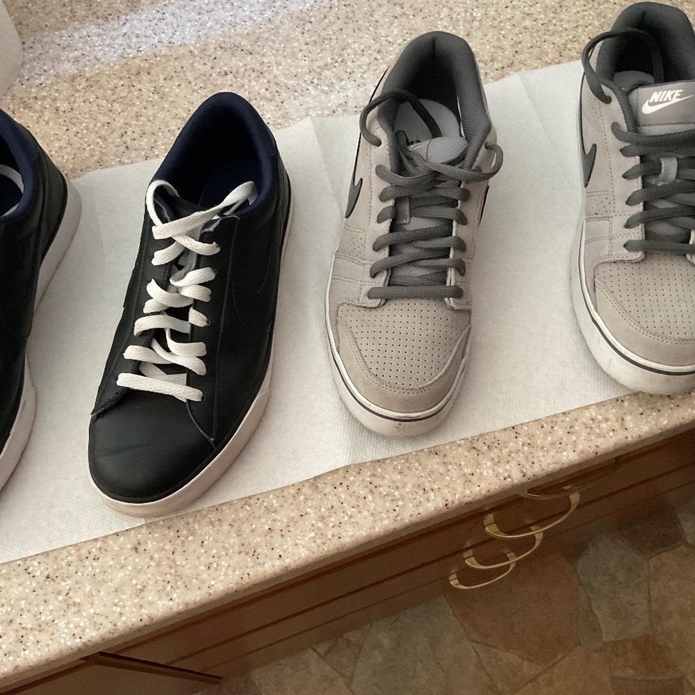 Nike casual skate sneakers